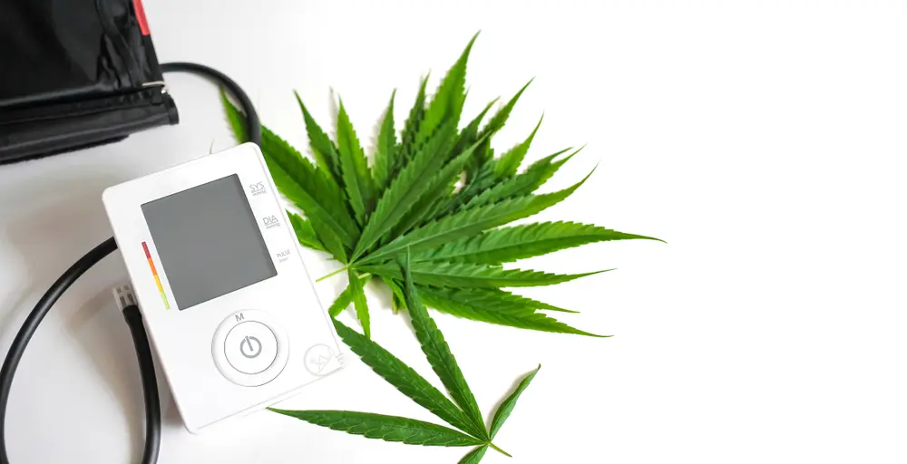 CBD and Blood Pressure Medication