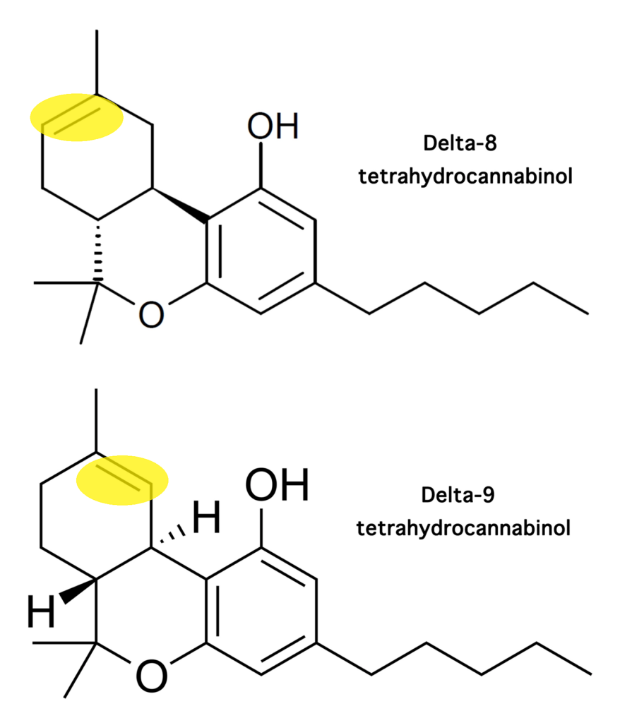 Delta 8 vs Delta 9 THC