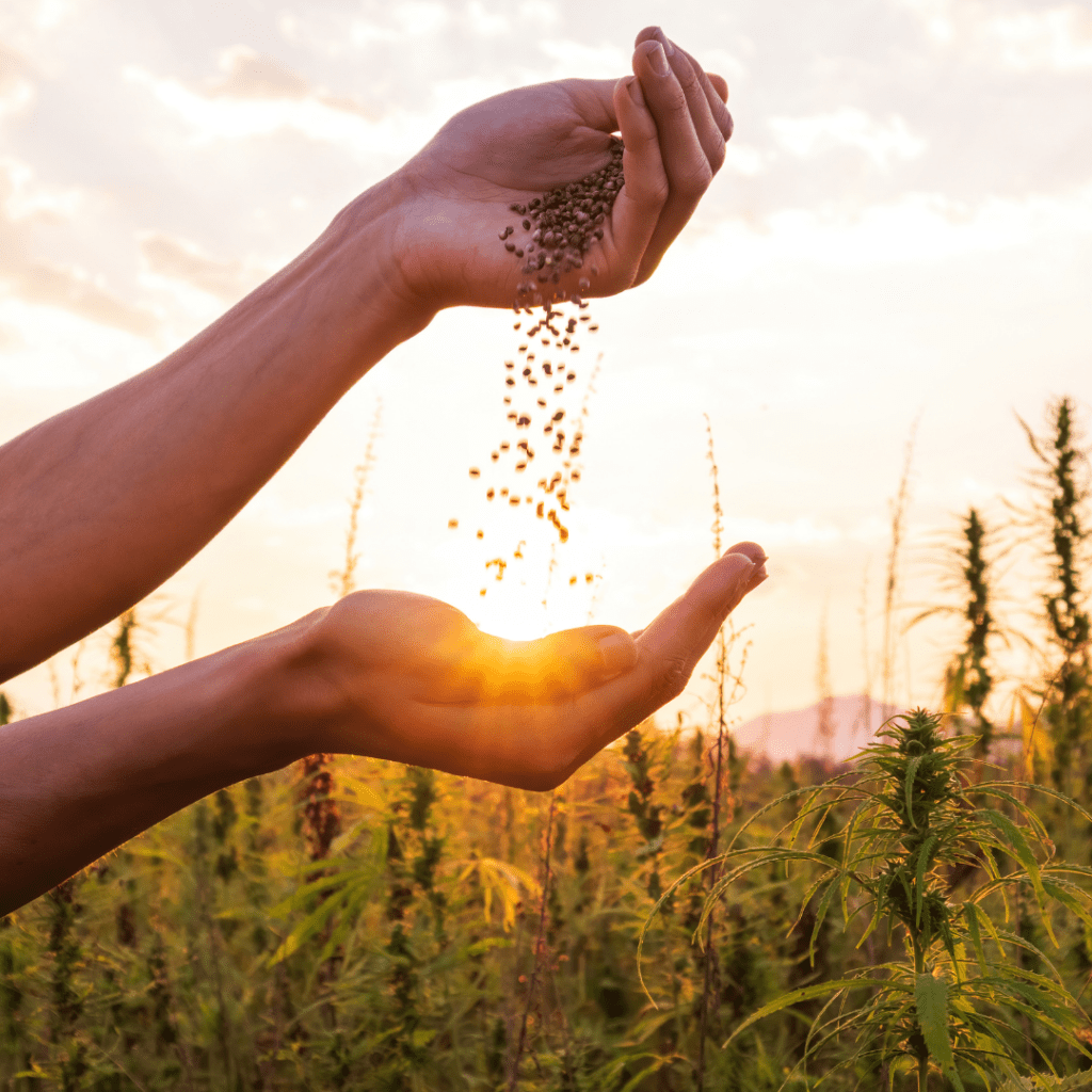 2023 Farm Bill Explanation