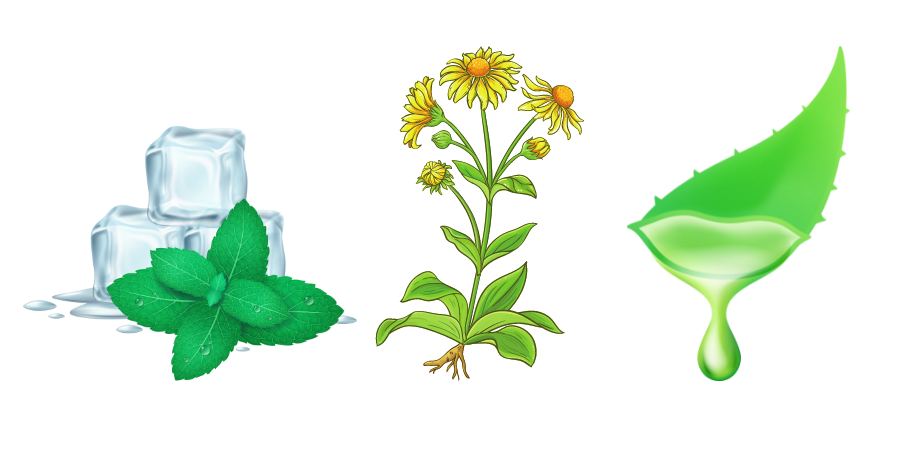 Ice cubes, mint leaves, a flowering yellow plant, and a green leaf with a drop of liquid are grouped together.