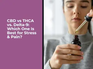 CBD vs THCA