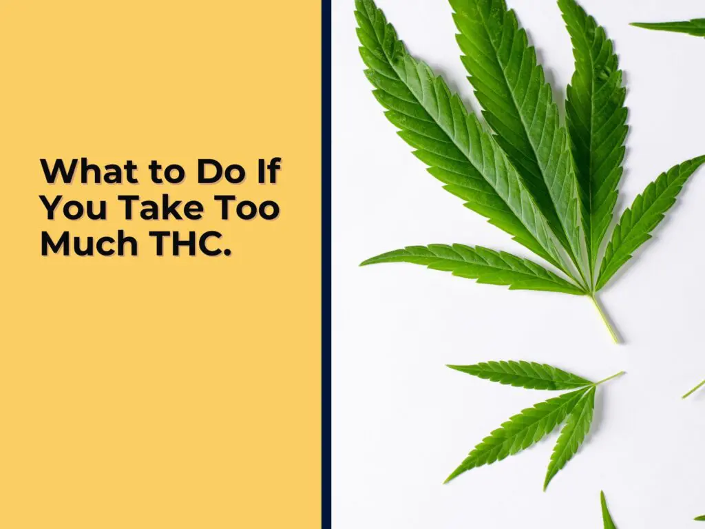 Too Much THC