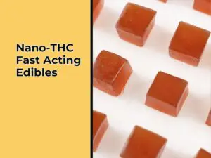 Fast Acting Edibles