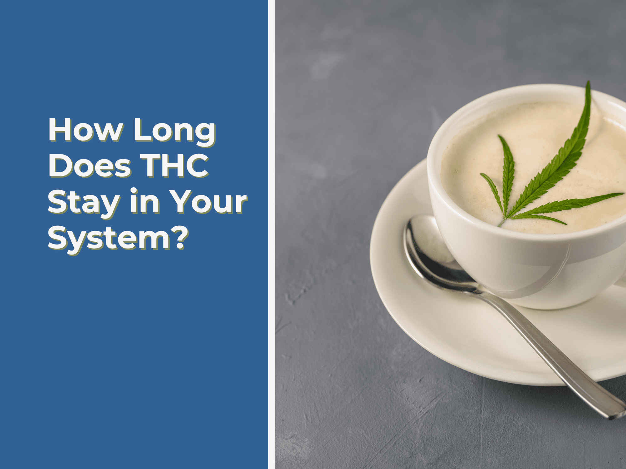 How Long Does THC Stay In Your System? | Redeem Therapeutics