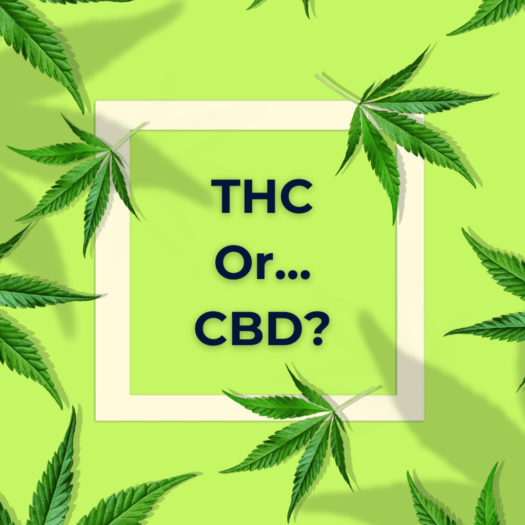 How long does THC stay in your system? 