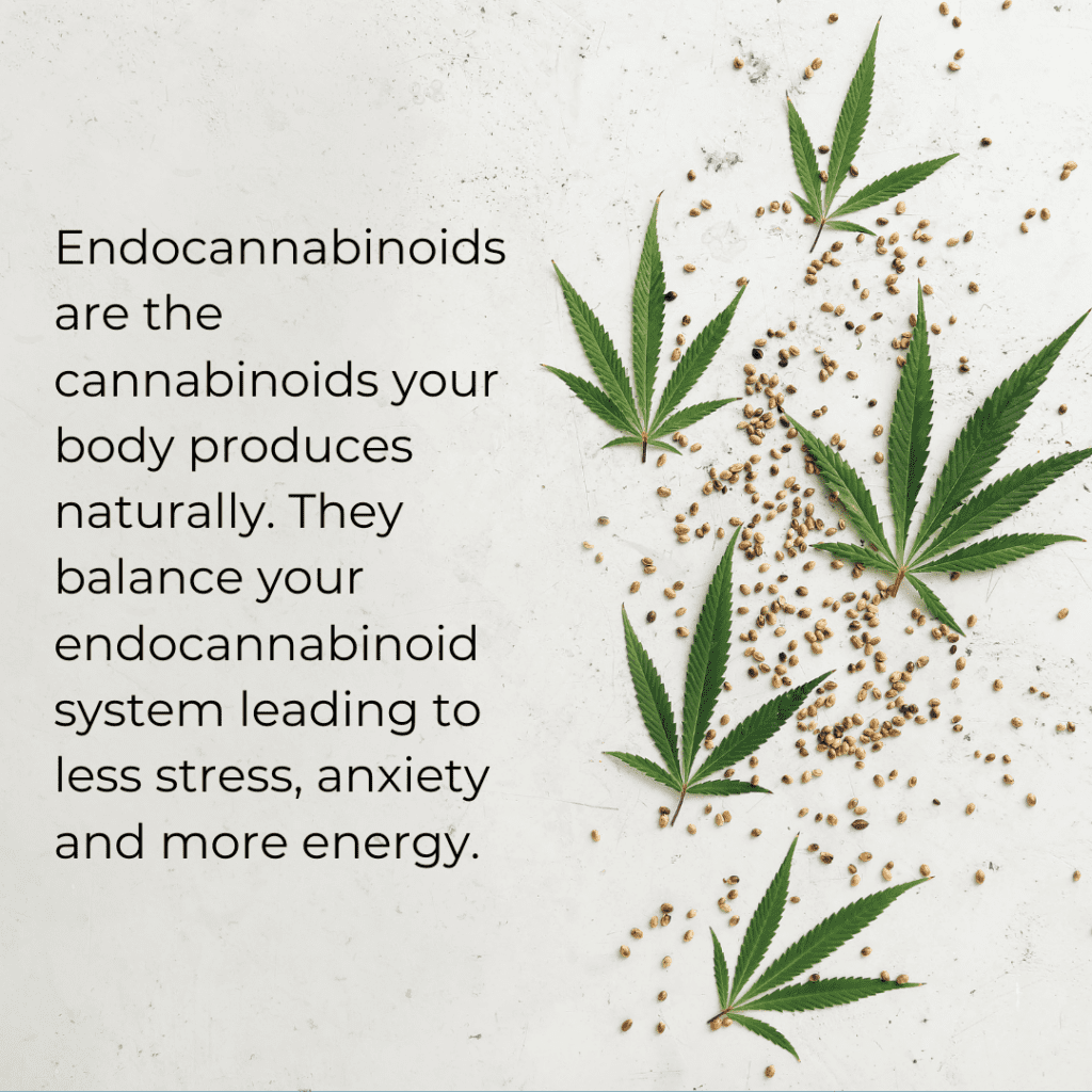 how to increase endocannabinoids