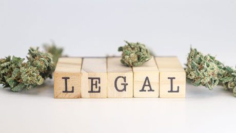 The word "LEGAL" spelled out with wooden blocks surrounded by cannabis buds