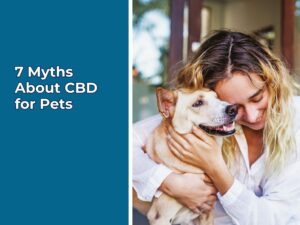 CBD for Pets