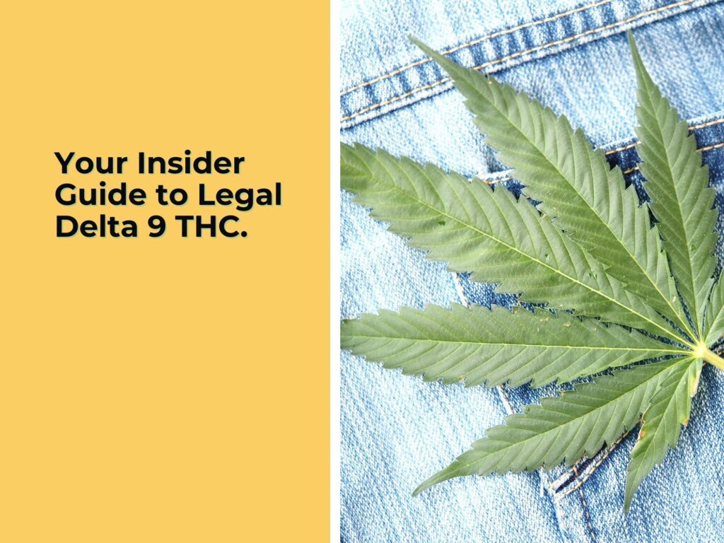 Your Insider Guide to Legal Delta 9 THC