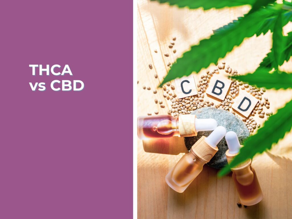 THCA vs CBD
