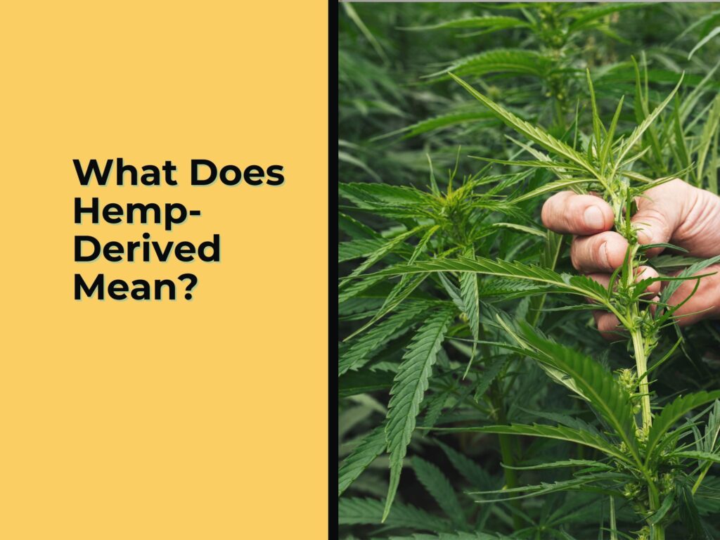 What does hemp-derived mean?