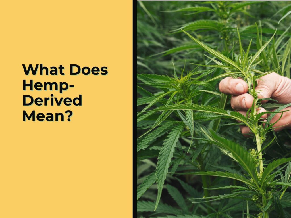 What Does Hemp-Derived Mean?